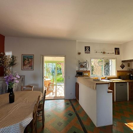 La Boissetane, Maison Provencale Avec Piscine Et Jardin, Au Pied Du Luberon Saint-Martin-de-Castillon Exteriör bild