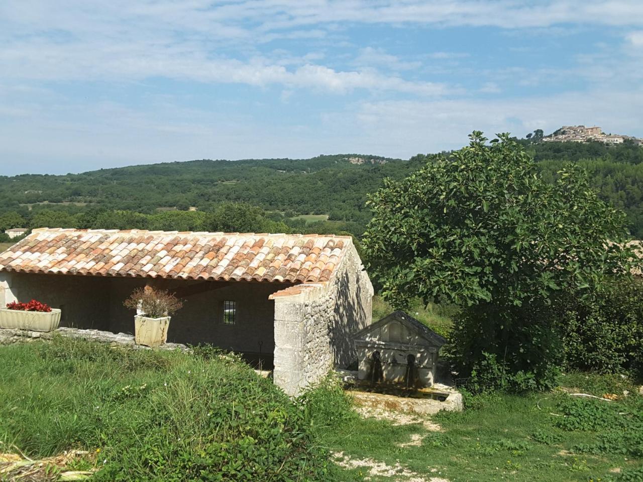 La Boissetane, Maison Provencale Avec Piscine Et Jardin, Au Pied Du Luberon Saint-Martin-de-Castillon Exteriör bild